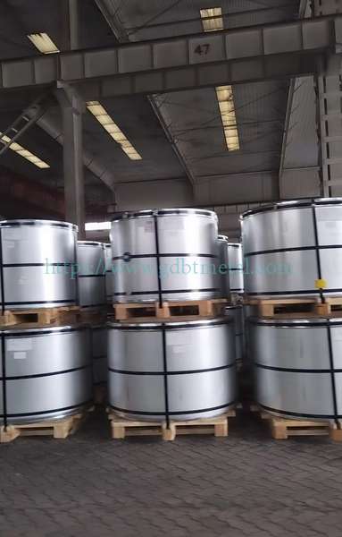 Galvanized Steel Coil